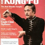 Sifu Inside Kung Fuu Cover